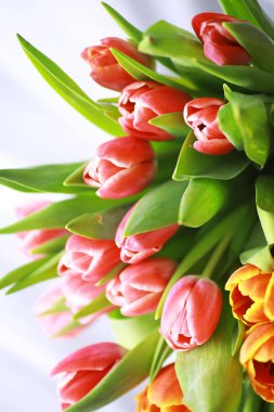 Çiçekler, bahar tatilleri ve ev dekorasyonu konsepti - buket güzel laleler, çiçekli arka plan