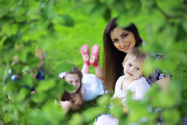 Genç, büyük bir aile yaz sabahı yürüyüşünde. Parkta oynayan çocuklu güzel anne..