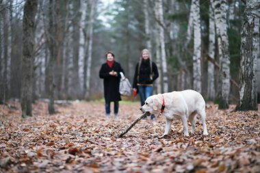 Sonbaharda yürüyüşe çıkan genç kız.