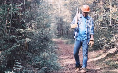 Ormandaki erkek oduncu. Profesyonel oduncu kesim için ağaçları inceliyor..
