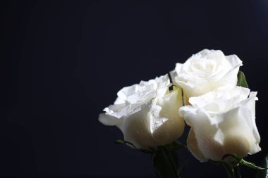 Bir buket taze çiçek. Sevdiğine bayram hediyesi. Sevgililer Günü arkaplanı. Gül, lale, Iris çiçek aranjmanı.