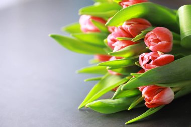 Çiçekler, bahar tatilleri ve ev dekorasyonu konsepti - buket güzel laleler, çiçekli arka plan