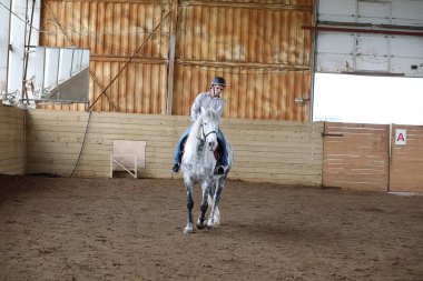 Genç adam ahşap arenada at eğitiminde.