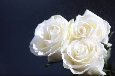 Bir buket taze çiçek. Sevdiğine bayram hediyesi. Sevgililer Günü arkaplanı. Gül, lale, Iris çiçek aranjmanı.