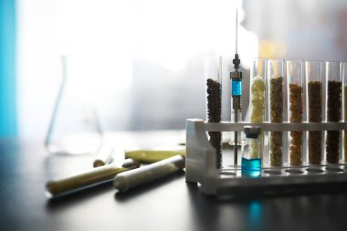 Seçim bitkilerinin tohumlarıyla test tüpleri. Laboratuvardaki Tarım Tahılları ve Tohumları İnceleme Araştırması