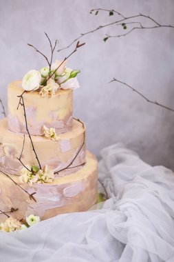 Farklı kremalı güzel pasta bisküvisi ve dekorasyon.