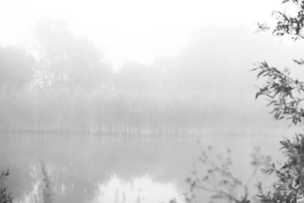 Dimma Sjön Morgon Natur Vatten Och Vit Dimma — Stockfoto