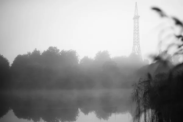 Dimma Sjön Morgon Natur Vatten Och Vit Dimma — Stockfoto