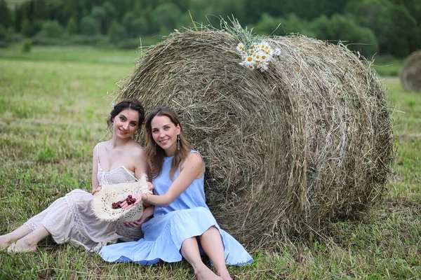 Dos Hermosas Chicas Vestidos Campo Verano Con Berrie — Foto de Stock