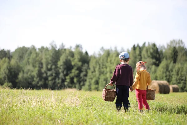 Enfants Réunis Dans Une Randonnée Dans Forêt Proche Recherche Champignons — Photo