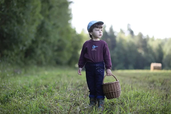 Enfants Réunis Dans Une Randonnée Dans Forêt Proche Recherche Champignons — Photo