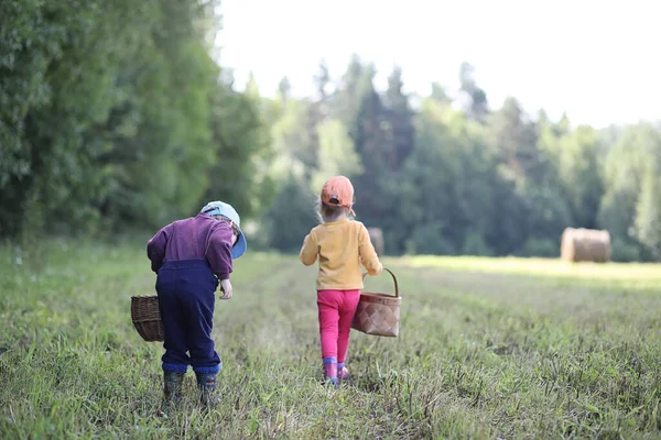 Enfants Réunis Dans Une Randonnée Dans Forêt Proche Recherche Champignons — Photo