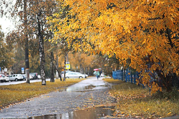 가을에 공원에서 내리는 — 스톡 사진