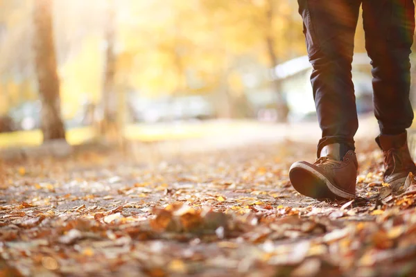 Autumn Park Homem Caminhando Longo Uma Folhagem Caminho — Fotografia de Stock