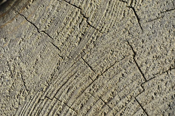 Fondo Textura Madera Textura Contrastante Las Tablas Estructura Madera Macro —  Fotos de Stock