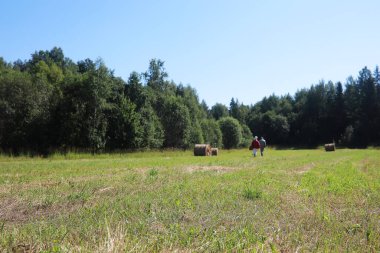 Parlak bahar, şafakta ormanda yeşilleniyor. Doğa ilkbaharın başlarında canlanır..