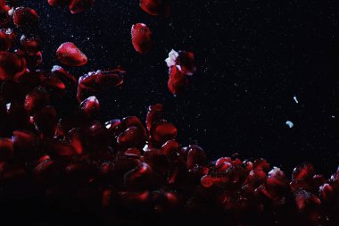 Olgun tatlı nar tohumlarına su damlaları düşer. Metnin için kopyalama alanı olan taze nar arkaplanı. Vejetaryen ve vejetaryen kavramı.