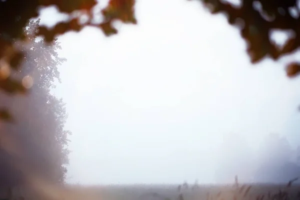 Fog in the field. Evening nature in summer with white fog.