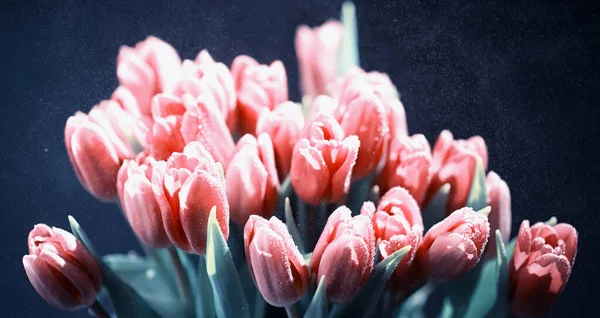 Bir Buket Taze Çiçek Sevdiğine Bayram Hediyesi Sevgililer Günü Arkaplanı — Stok fotoğraf