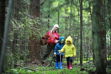 Çocuklar mantar için ormana gider.