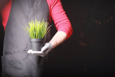 Genç bir bahçıvan fidelerle ve çiçek kesimleriyle ilgilenir. Çiçek tepsisiyle bahçıvan. Baharda fidelerle ilgilenen adam..