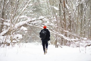 Kışın ormanda bir adam. Sırt çantalı bir turist kışın ormana gider..