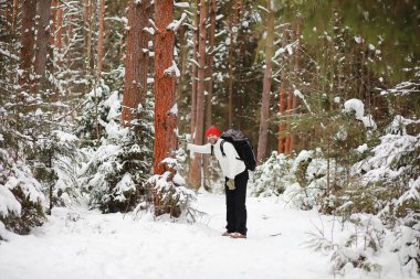 Bir adam sırt çantasıyla seyahat eder. Ormanda kış yürüyüşü. Kışın parkta yürüyüş yapan bir turist..