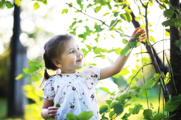 Die Familie Ruht Sich Der Natur Aus Urlaub Der Frischen — Stockfoto