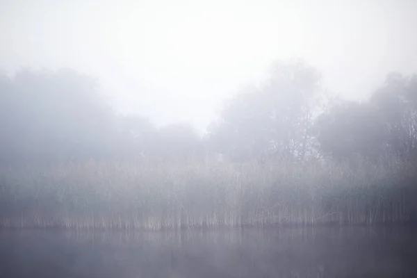 Niebla Lago Mañana Naturaleza Agua Niebla Blanca — Foto de Stock