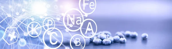 블루베리에 떨어진다 블루베리 배경에 텍스트 있습니다 채식의 개념입니다 블루베리 베리의 — 스톡 사진