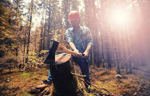 Trabajador Masculino Con Hacha Cortando Árbol Bosque — Foto de Stock