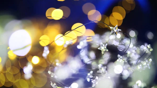 ガラス瓶のクリスマスの庭 内部の植物を持つ瓶 新年とクリスマスのコンセプト 美しい光と本の電球の庭 — ストック写真
