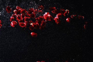 Olgun tatlı nar tohumlarına su damlaları düşer. Metnin için kopyalama alanı olan taze nar arkaplanı. Vejetaryen ve vejetaryen kavramı.