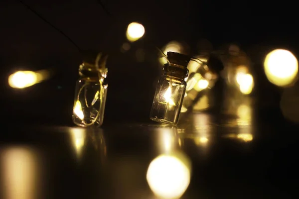 Guirlande Noël Bouteilles Verre Pots Avec Une Plante Intérieur Nouvel — Photo