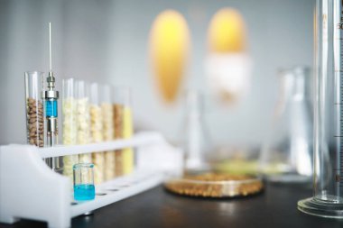 Seçim bitkilerinin tohumlarıyla test tüpleri. Laboratuvardaki Tarım Tahılları ve Tohumları İnceleme Araştırması