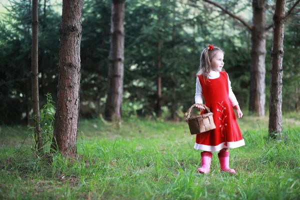 Liten Flicka Röd Hatt Och Klänningar Går Parken Cosplay För — Stockfoto