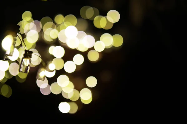 Weihnachtsgirlanden Aus Glasflaschen Gläser Mit Einer Pflanze Darin Neues Jahr — Stockfoto