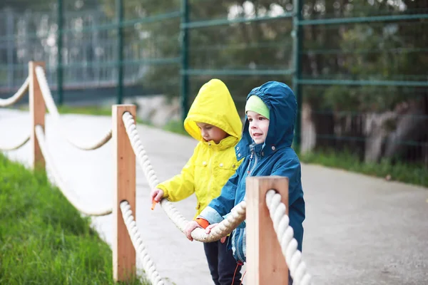 Двоє Маленьких Дітей Хлопчик Дівчинка Дивіться Шоу Мавпи Зоопарку Холодний — стокове фото