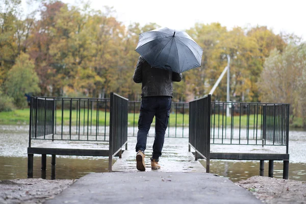 Őszi Háttér Parkban Nap Folyamán — Stock Fotó