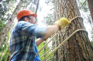 Ormanda ağaç kesen baltalı bir erkek işçi..
