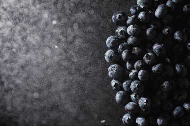 Olgun tatlı yaban mersinine su damlası. Metnin için fotokopi alanı olan taze yabanmersini arkaplanı. Vejetaryen ve vejetaryen kavramı. Yaban mersinli böğürtlenlerin makro dokusu. Yaban mersinli dokular kapanıyor.