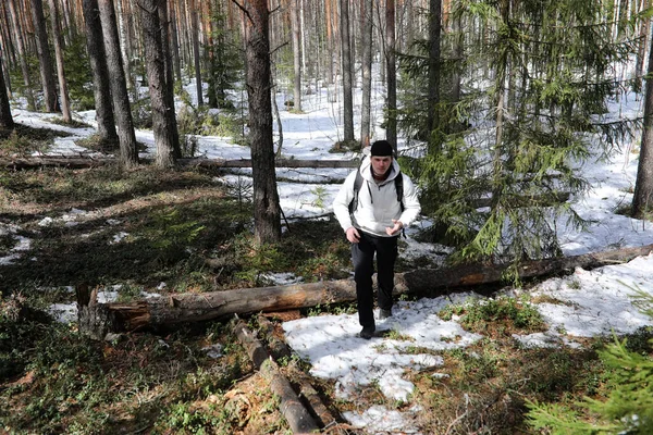 Člověk Jako Turista Borovém Lese Batohem Pěší Výlet Lese Borovice — Stock fotografie