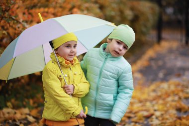 Çocuklar sonbahar parkında sonbaharda yürürler