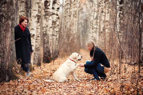 Tonårstjej Med Mamma Och Hund Ute Höstparken — Stockfoto