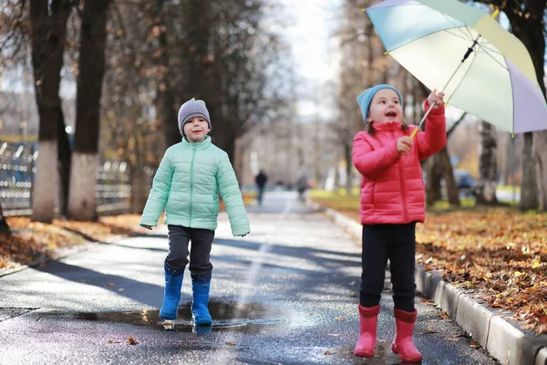 Les Enfants Marchent Dans Parc Automne Dans Fal — Photo
