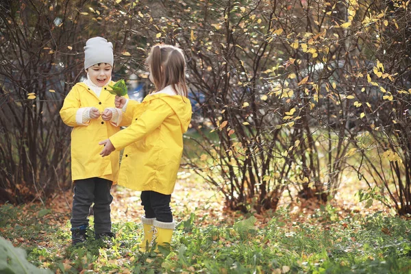 Barnen Går Höstparken Fjällen — Stockfoto