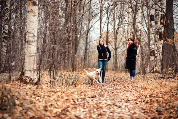 Tonårstjej Med Mamma Och Hund Ute Höstparken — Stockfoto