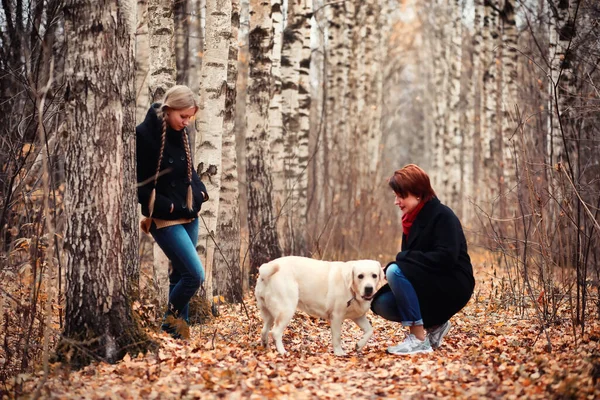 Menina Adolescente Com Mãe Cão Andando Parque Outono — Fotografia de Stock