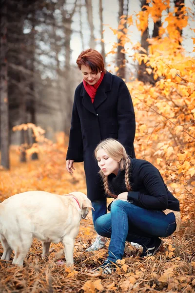 Chica Adolescente Con Madre Perro Paseando Parque Otoño — Foto de Stock