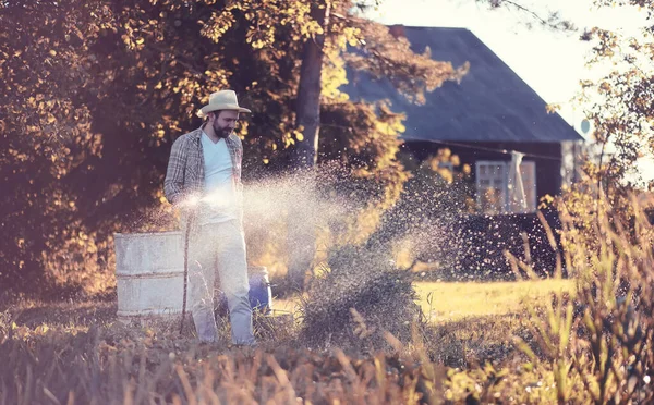 Мужчина Фермер Поливает Овощной Сад Вечером Солнце — стоковое фото